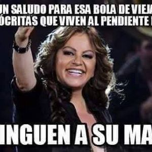 Meet your Posher, Nikki