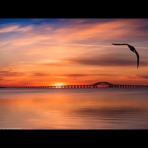 Meet your Posher, Florence