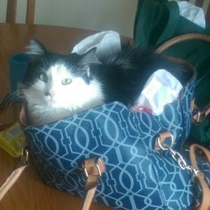 Meet your Posher, Melinda