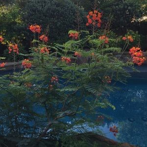 Meet your Posher, Michele