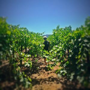 Meet your Posher, Nina