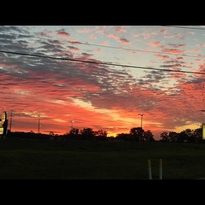 Meet your Posher, Bridget