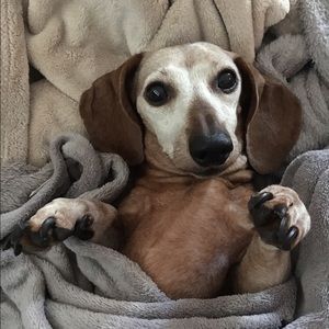 Meet your Posher, Leah