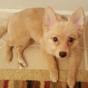 Meet your Posher, Rebecca