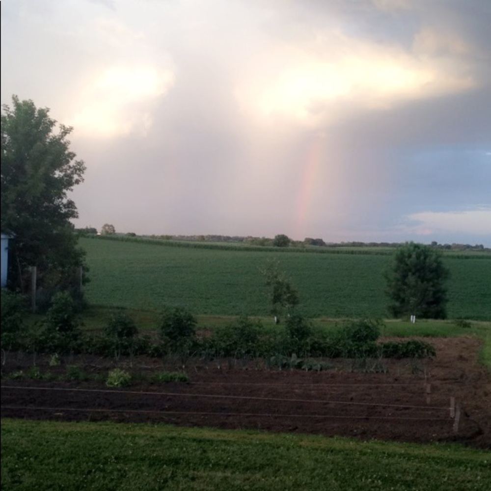 Meet your Posher, Courtney