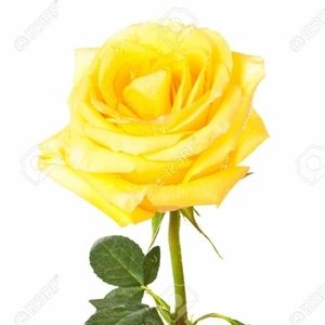 Meet your Posher, Tonya