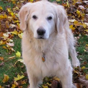 Meet your Posher, Bridget