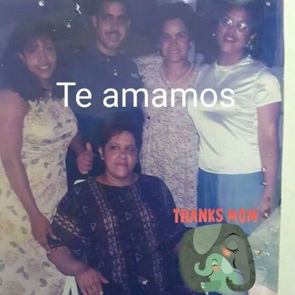 Meet your Posher, Minerva - Picture 1 of 1