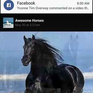 Meet your Posher, Deanna