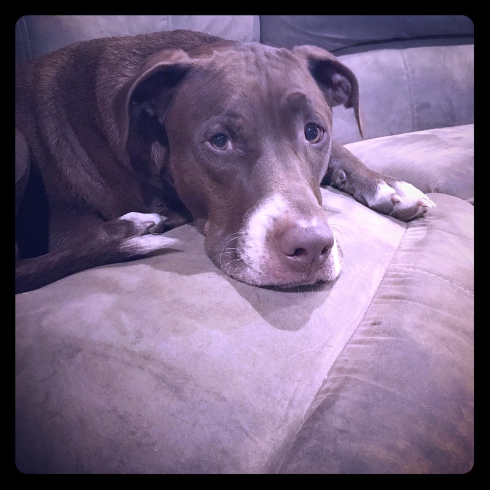 Meet your Posher, Elena