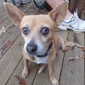 Meet your Posher, Trudy