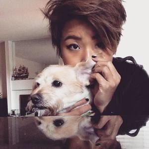 Meet your Posher, Kitty