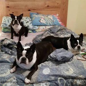 Meet your Posher, Jerrie