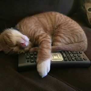 Meet your Posher, Bianca