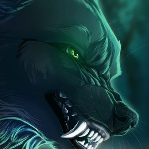 Meet your Posher, Conner