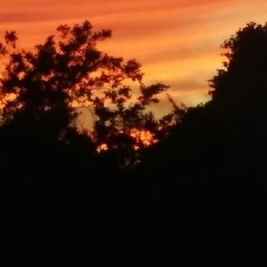 Meet your Posher, Caitlyn