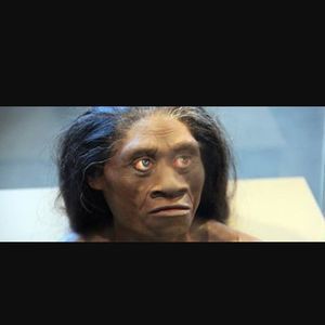 Meet your Posher, Alonso