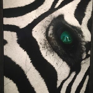 Meet your Posher, Lyndsey