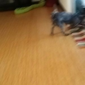 Meet your Posher, Sherri