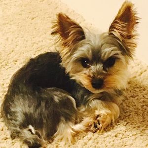 Meet your Posher, Cortney