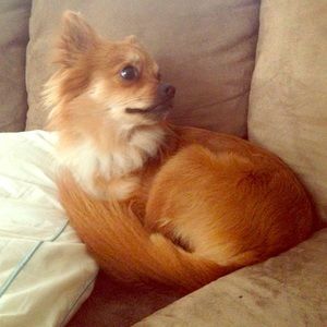 Meet your Posher, Briana