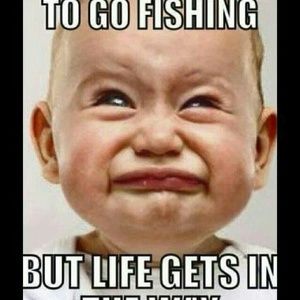 Meet your Posher, Danny