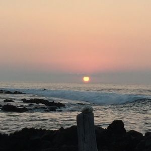 Meet your Posher, Rob