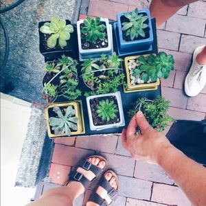 Meet your Posher, Annmarie