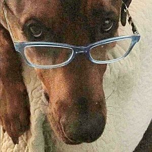 Meet your Posher, Martha