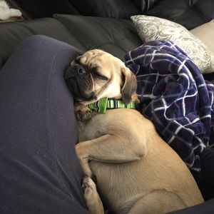 Meet your Posher, Rachel