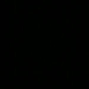 Meet your Posher, Kikikki