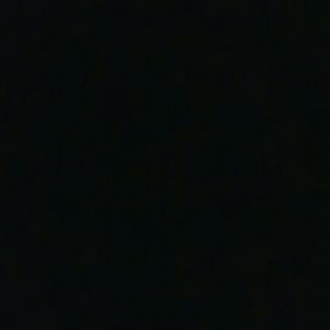 Meet your Posher, Rose