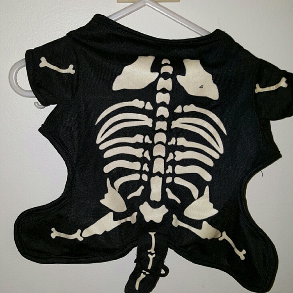 Dog Halloween costume