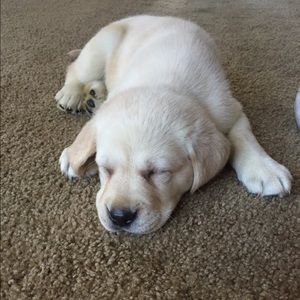 Meet your Posher, Mimi