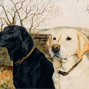 Meet your Posher, Todd