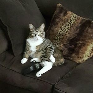 Come on over to my closet & take a look