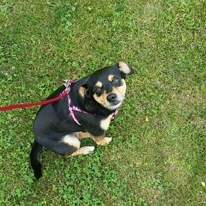 Meet your Posher, Erika