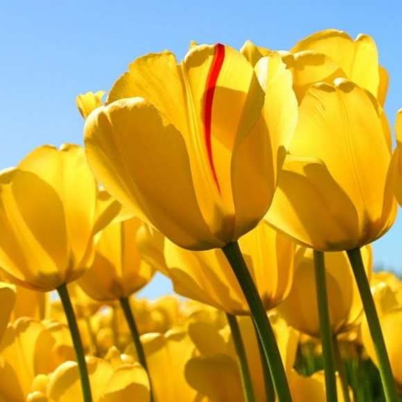 Meet your Posher, Sam