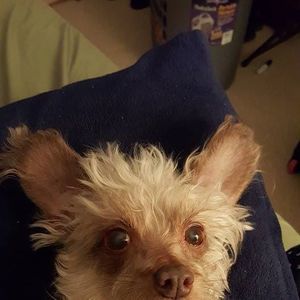 Meet your Posher, Christine