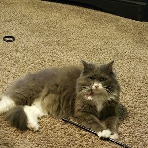 Meet your Posher, Mara