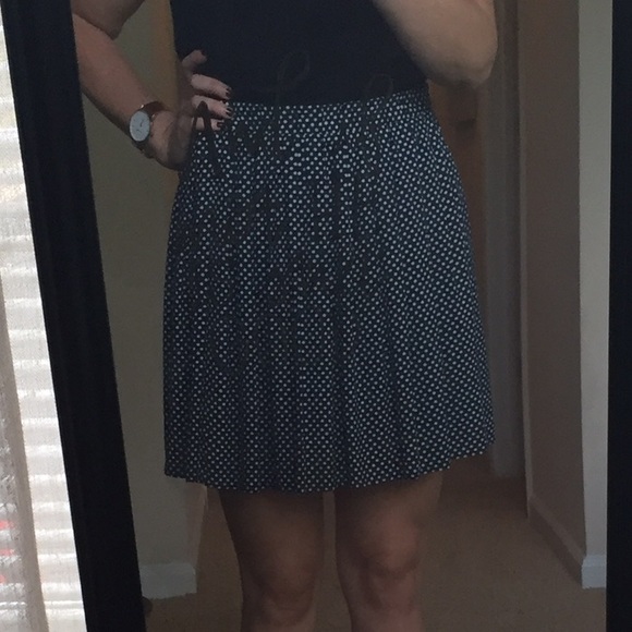 Blue Skirt with Mini White Polka Dots