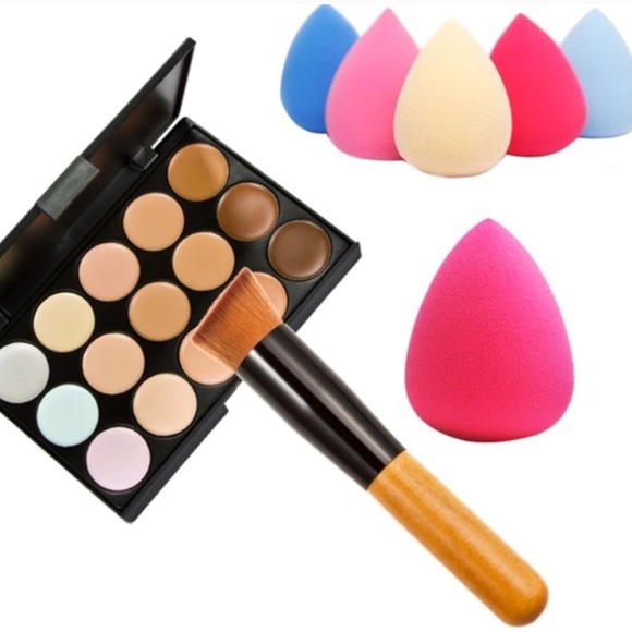 Contours palate/ brush/ 1 sponge