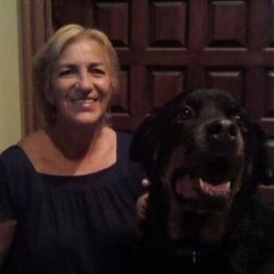 Meet your Posher, Joy