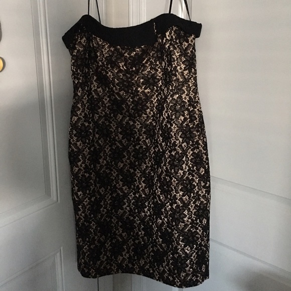Talbots lace dress 14