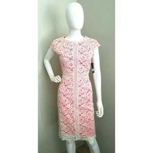 Coral and Cream Lace Dress