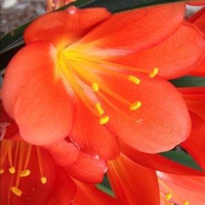 Meet your Posher, Jayne