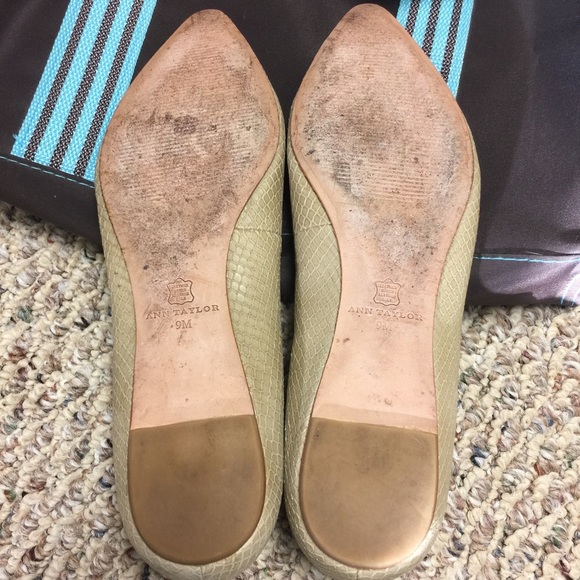 Ann Taylor Flats - Picture 4 of 4