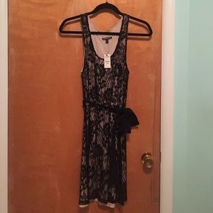 Express lace dress