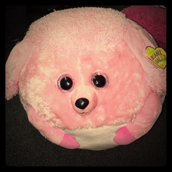 A pink poodle beanie balls stuffed animal
