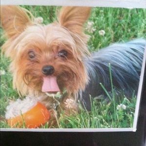 Meet your Posher, Annette